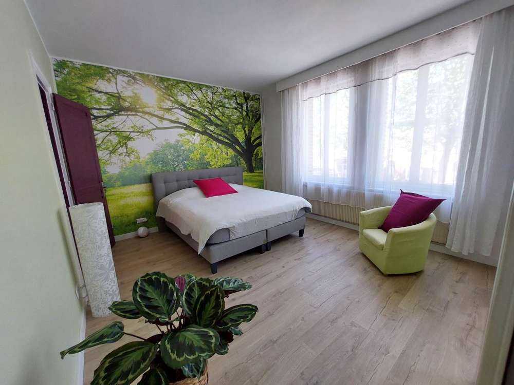 Schöner Baum mit grünem Gras