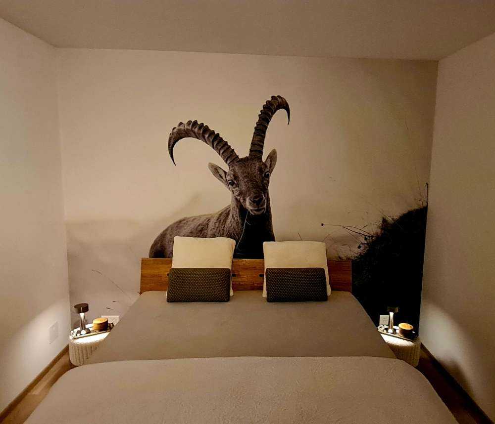 Steinbock in den Bergen