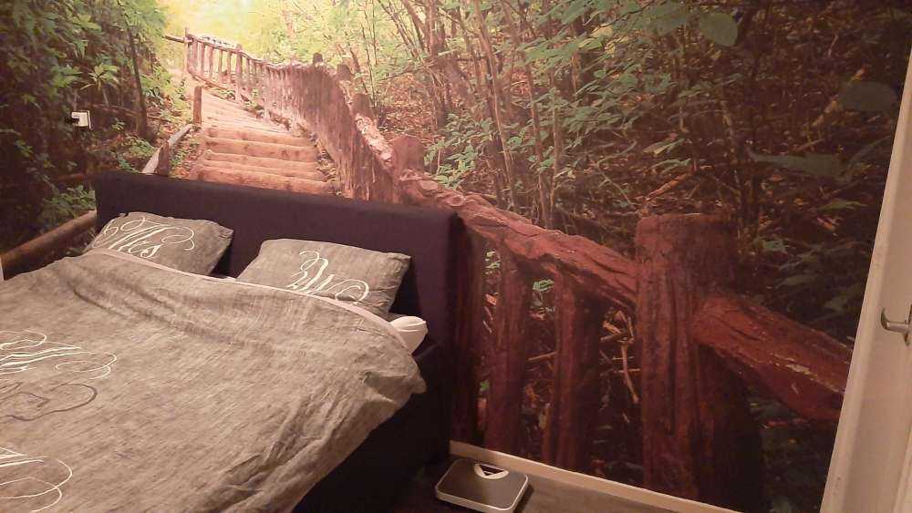 Treppen im Wald