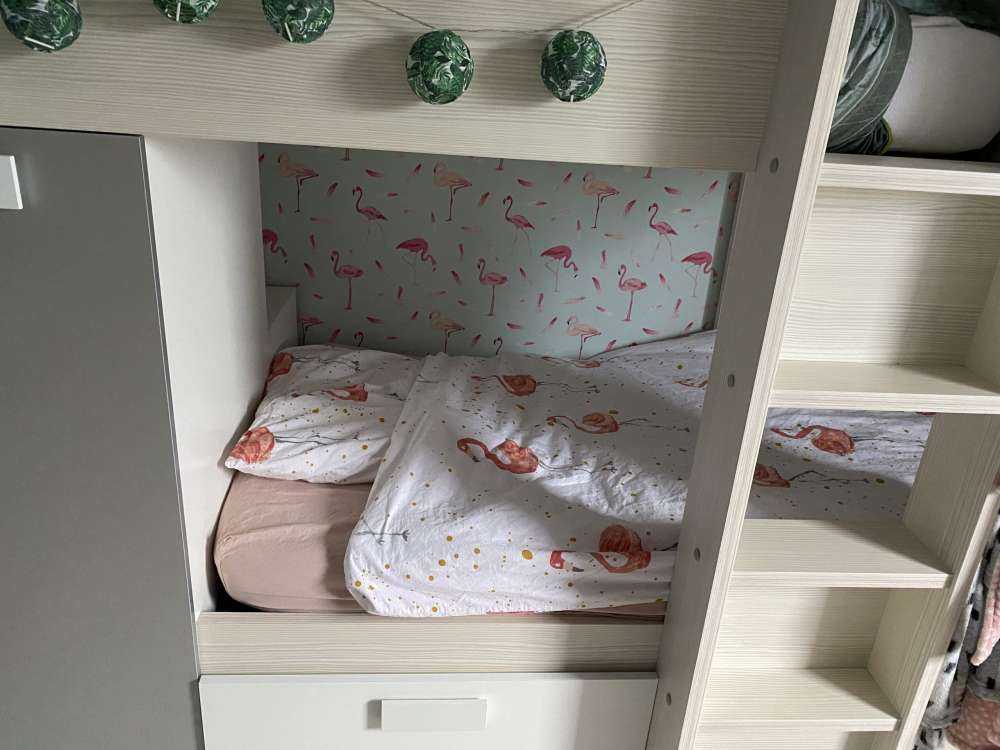 Flamingos