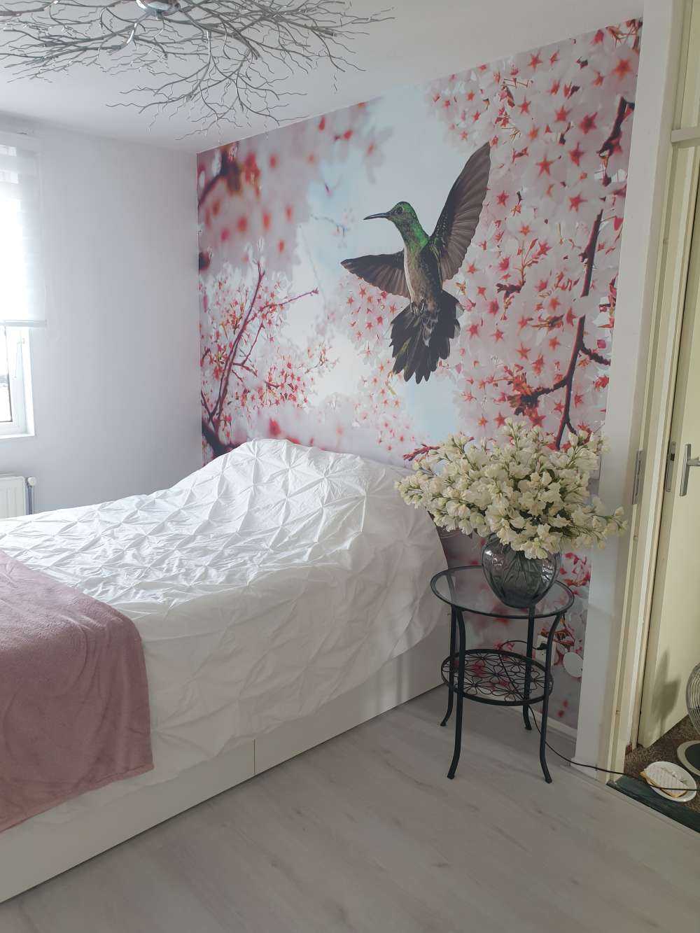Kolibri zwischen den Blüten