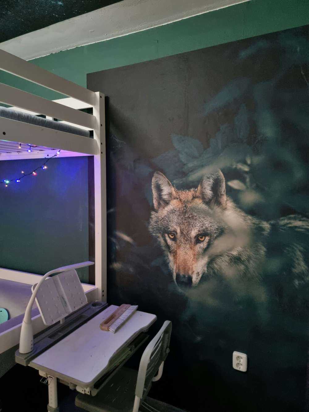 Nahaufnahme Wolf