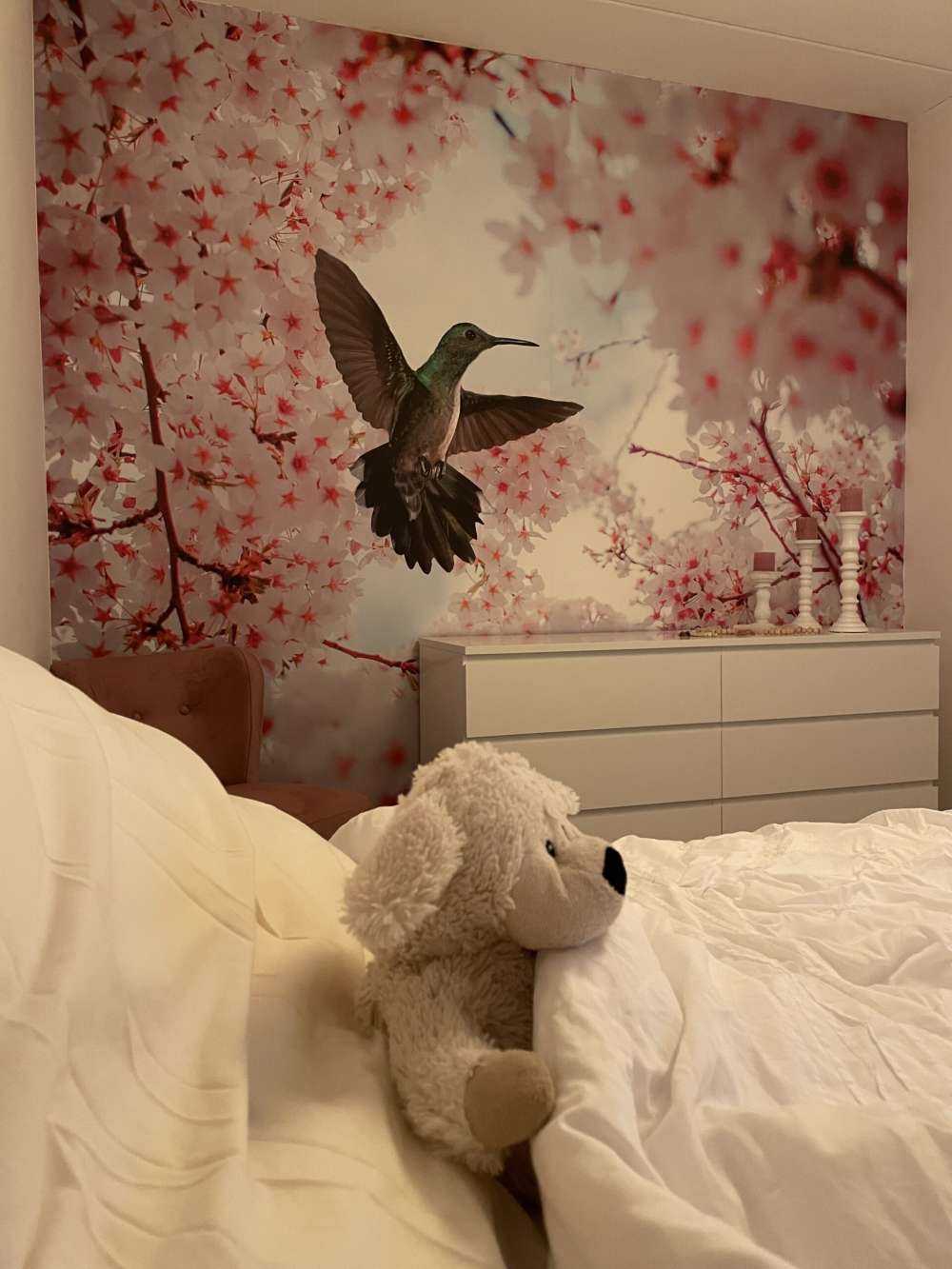 Kolibri zwischen den Blüten