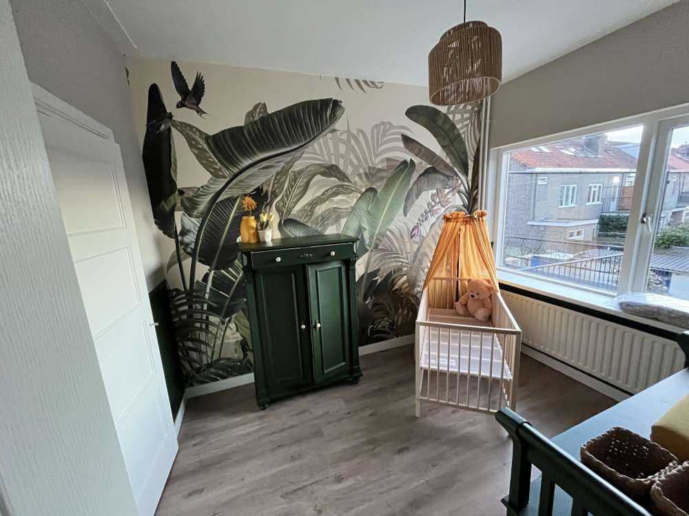 Pflanzen im Dschungel