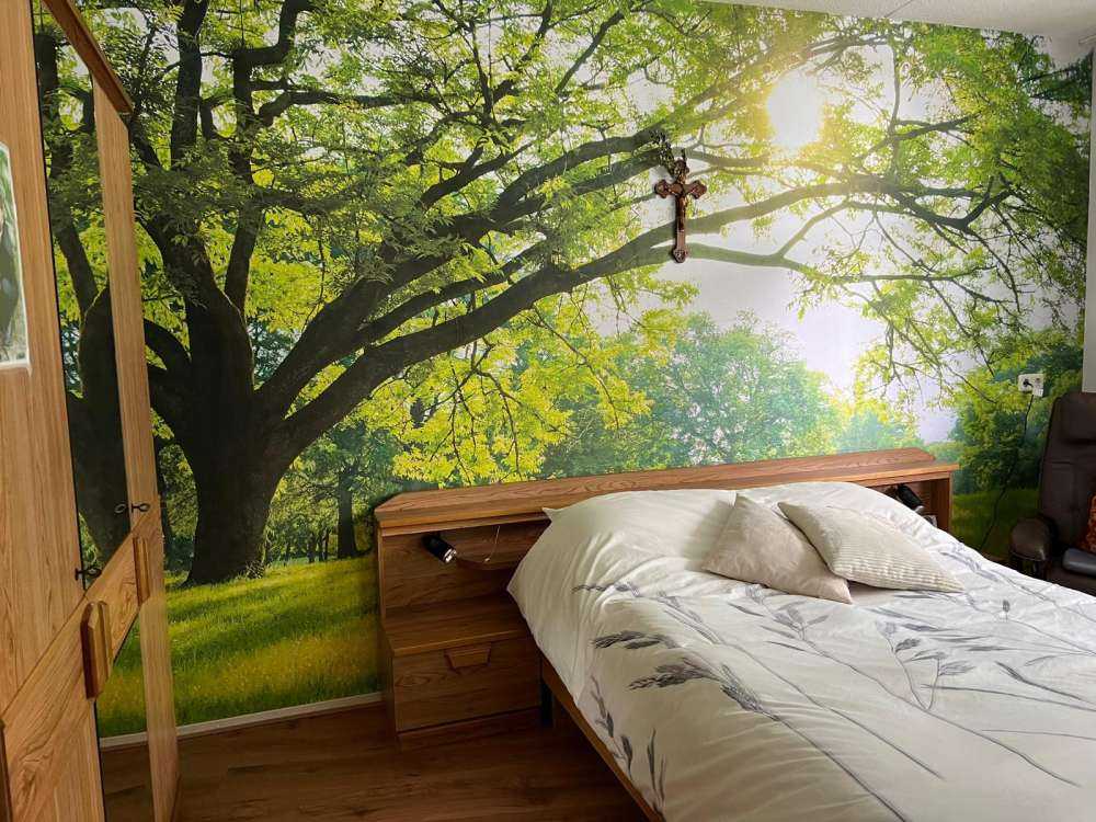 Schöner Baum mit grünem Gras