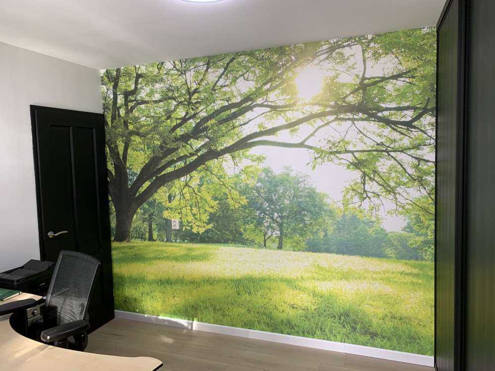 Schöner Baum mit grünem Gras