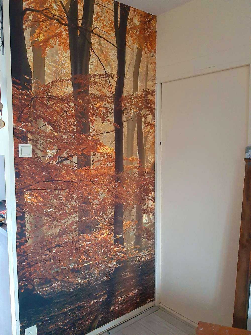 Herbstfarben im Wald