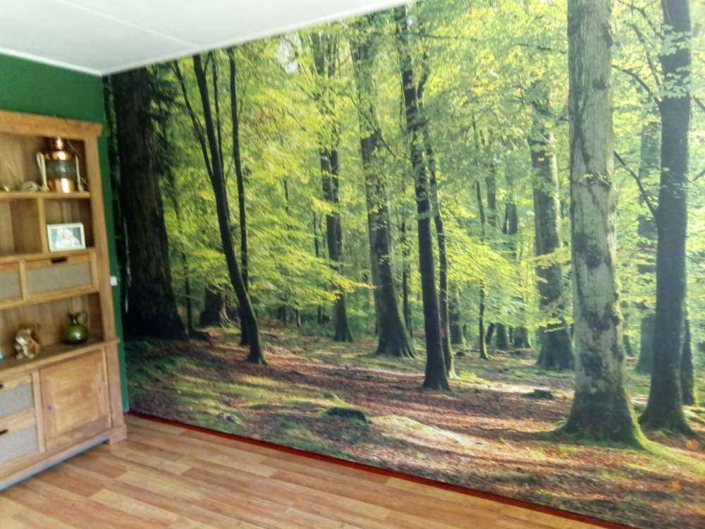 Waldspaziergang
