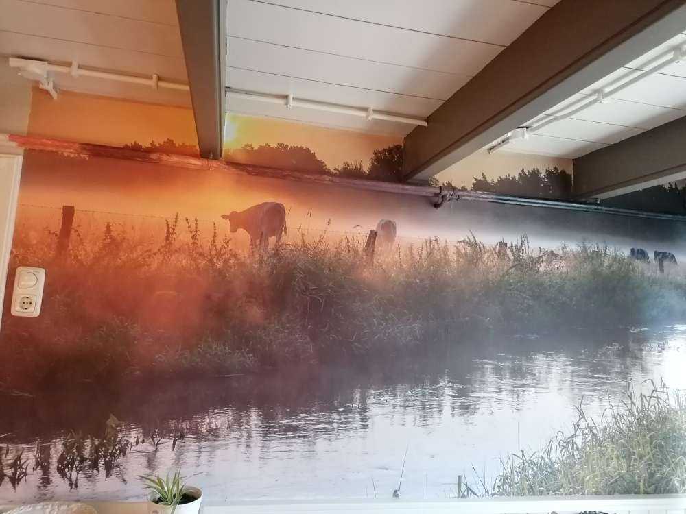 Kühe auf der Wiese
