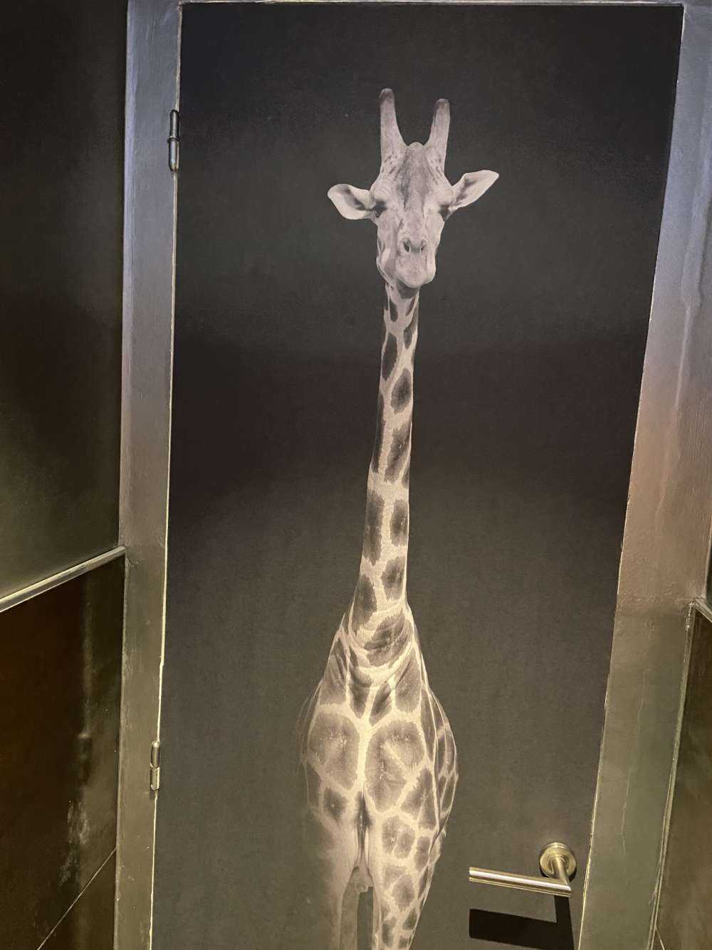 Giraffe schwarz-weiß