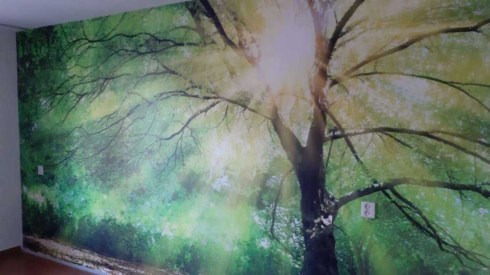 Großer Baum mit Sonne