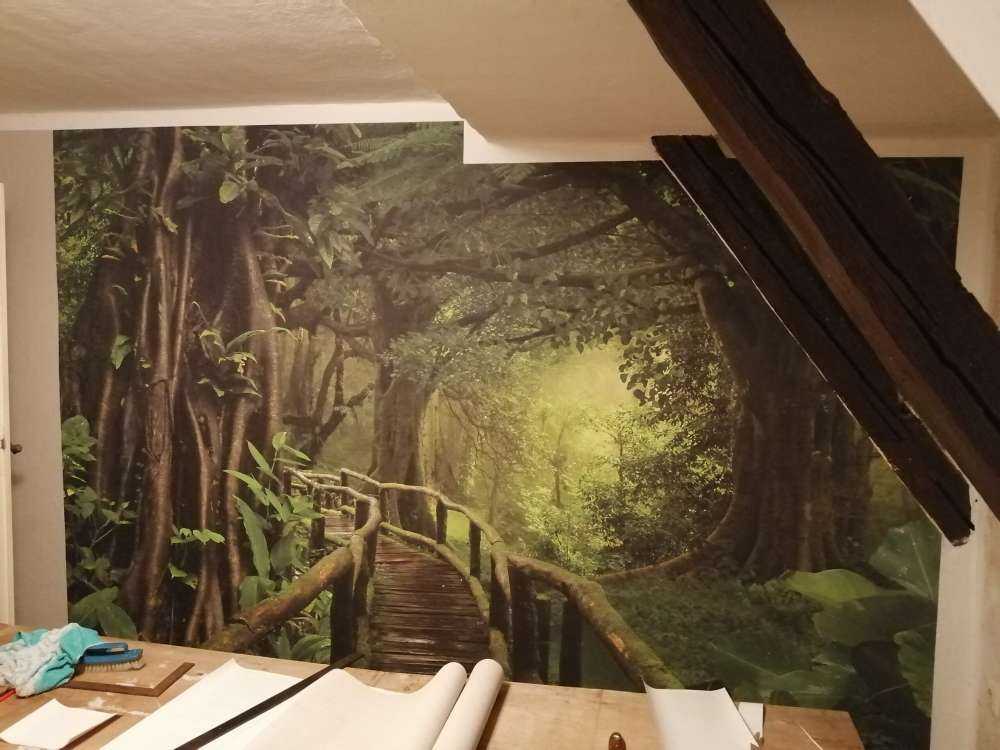 Dschungelbrücke