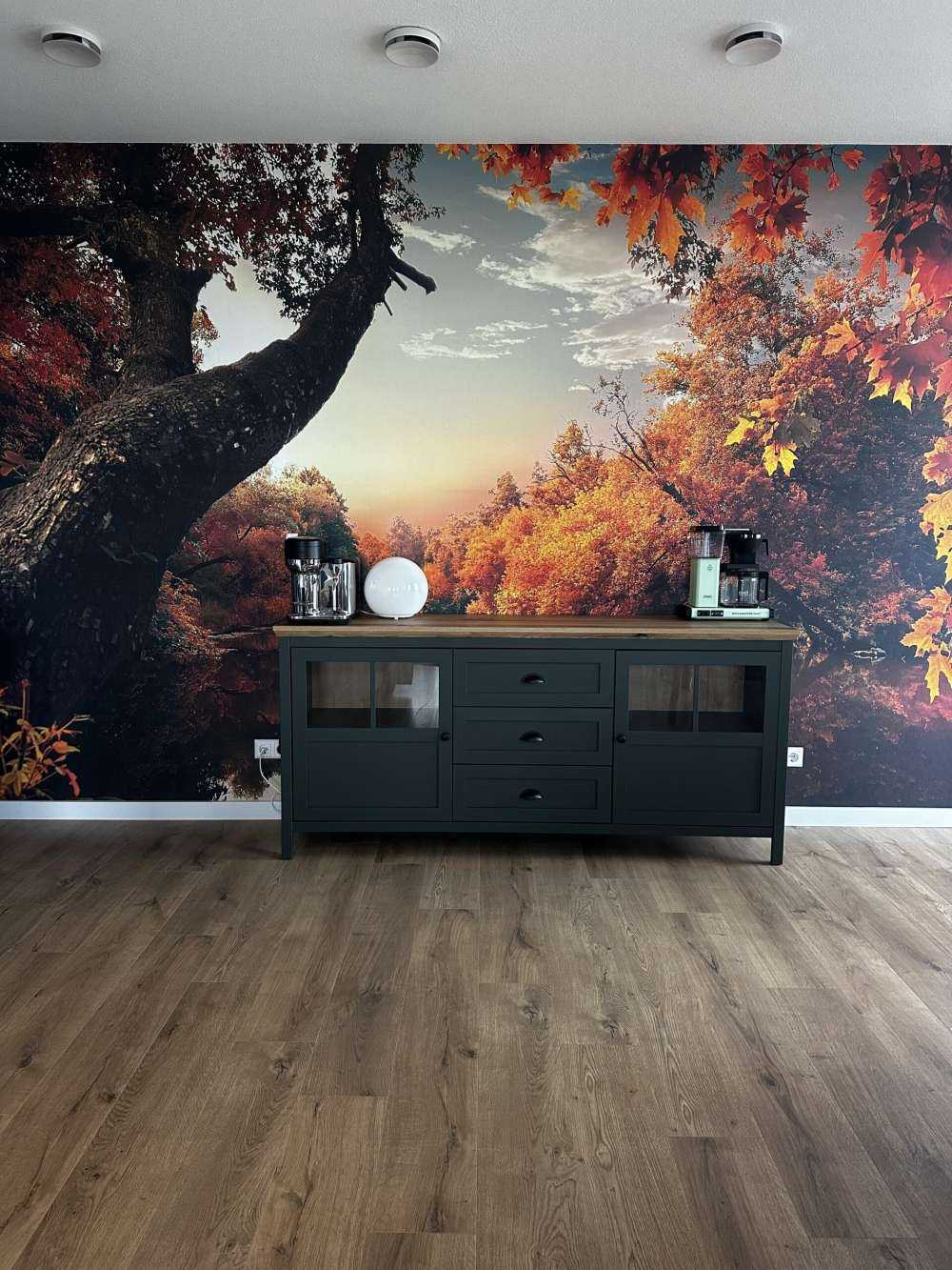 Orange Herbst