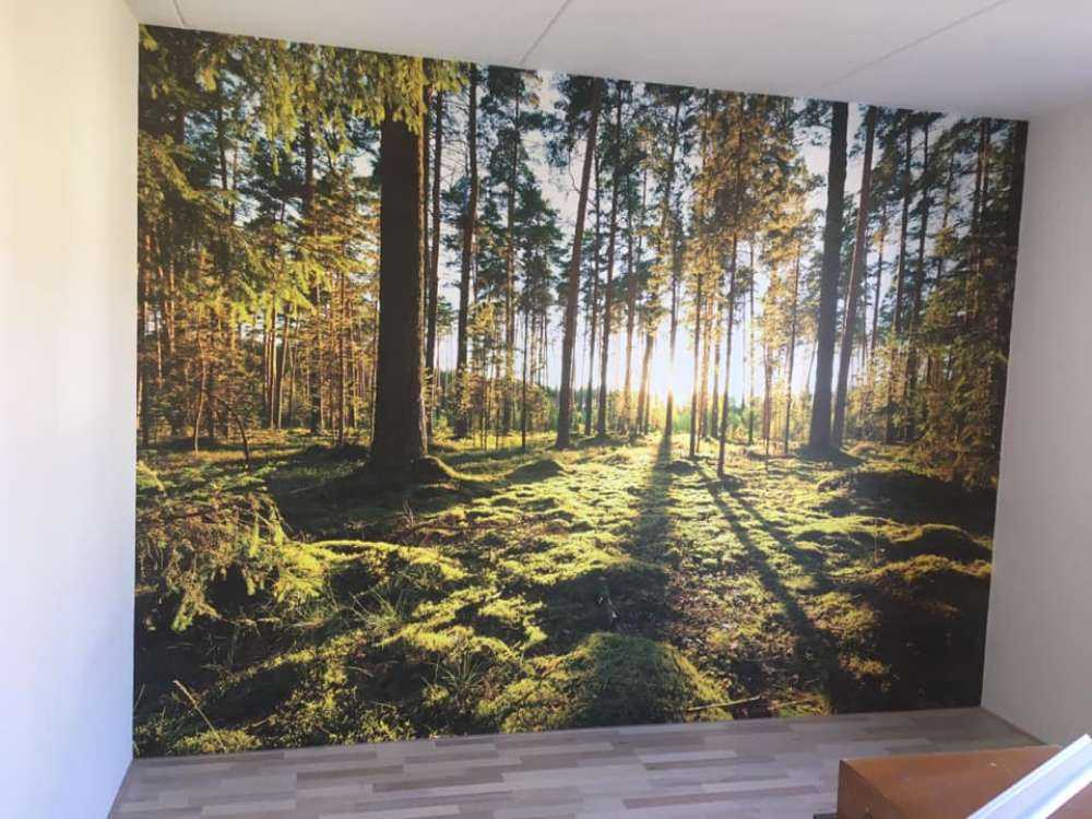 Kiefernwald