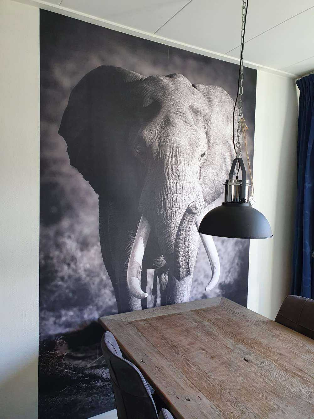 Afrikanischer Elefant