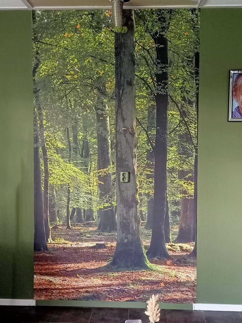 Waldspaziergang