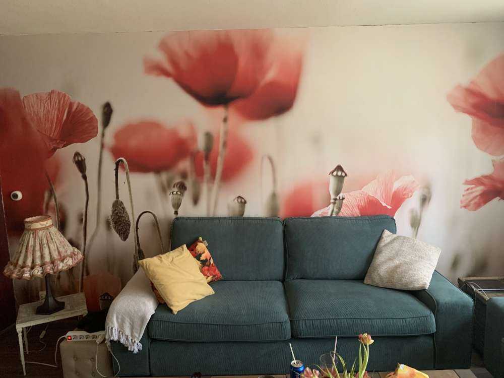 Verträumter Mohn