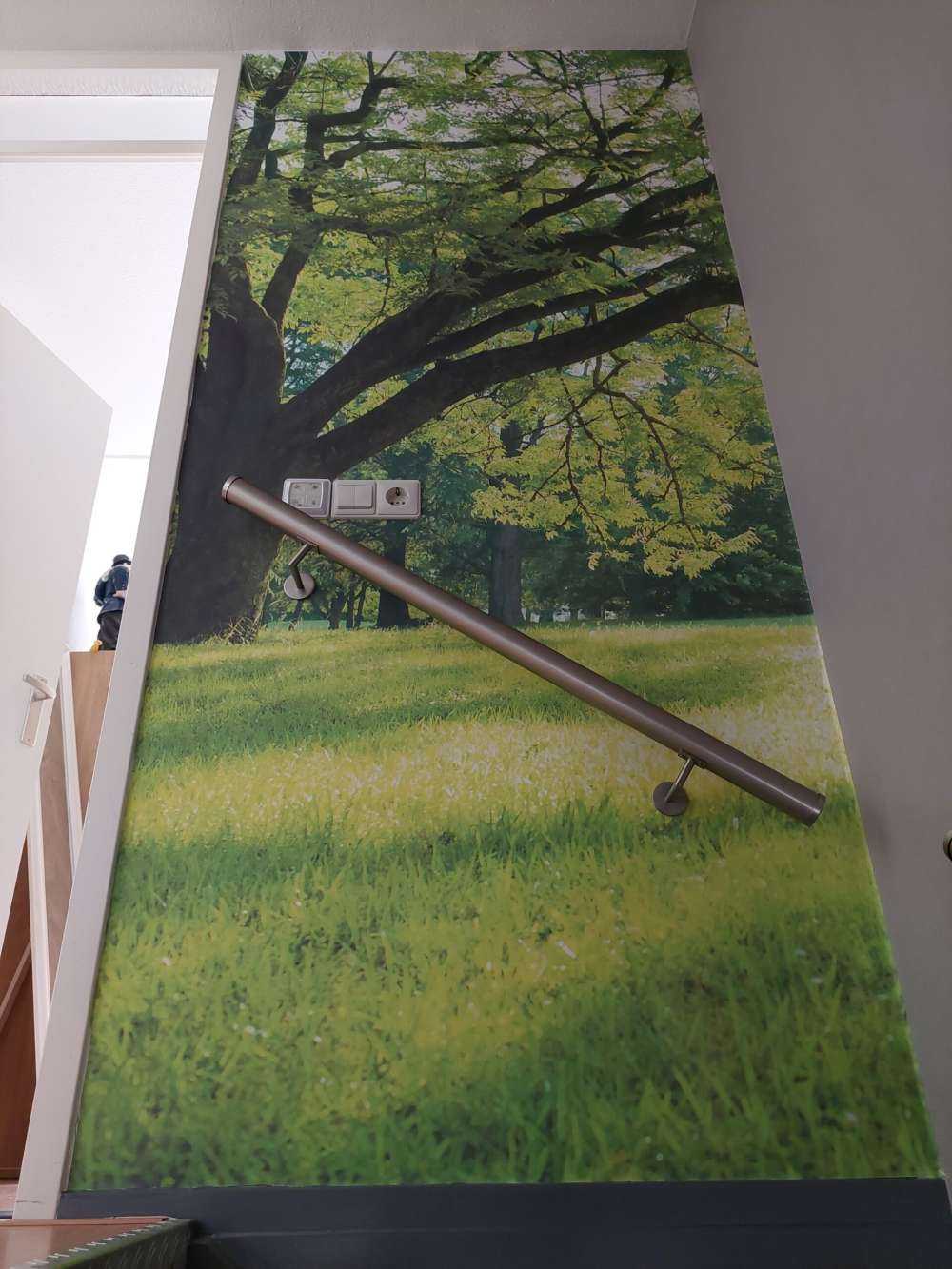 Schöner Baum mit grünem Gras