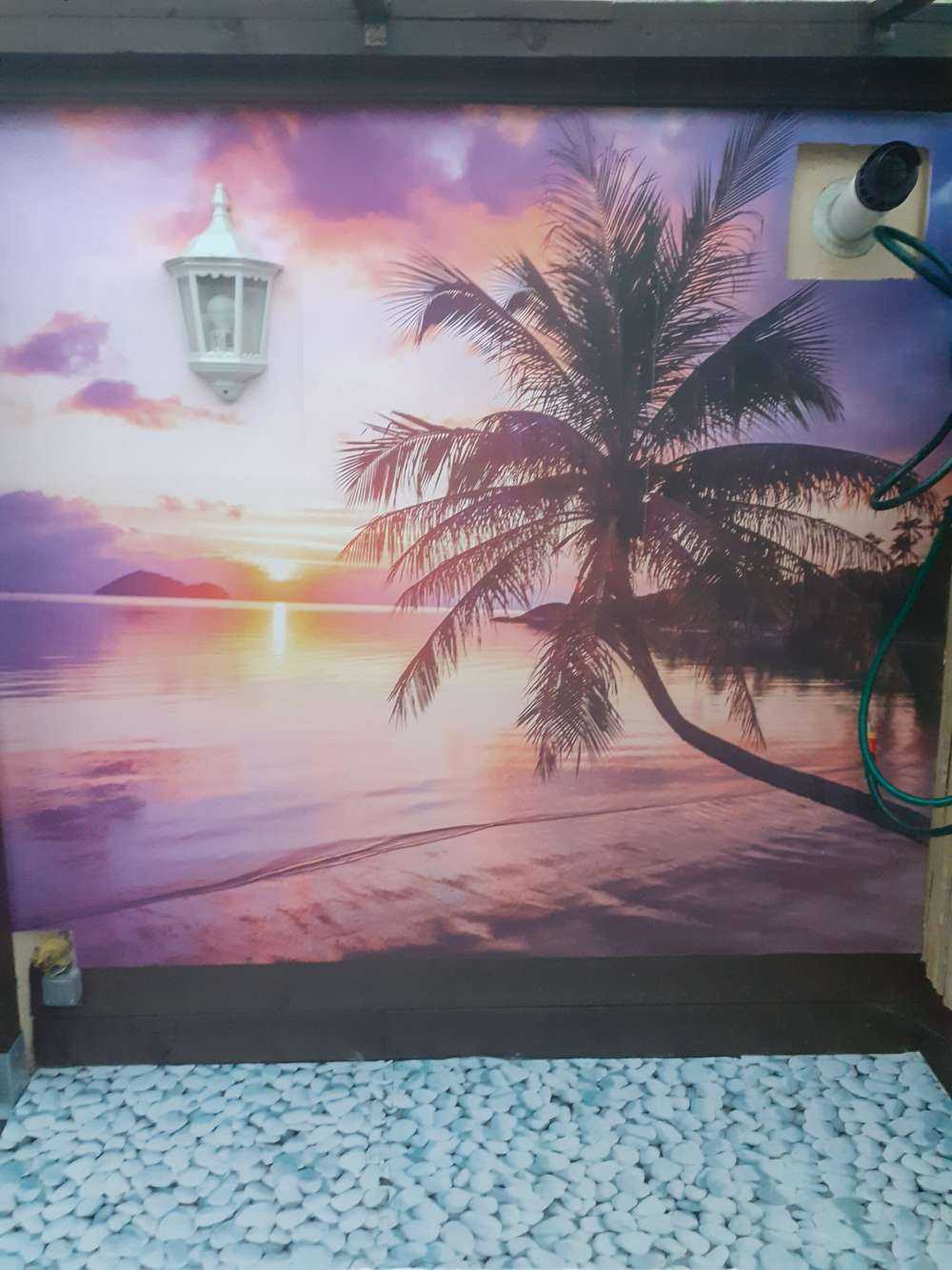 Palme bei einem Sonnenuntergang