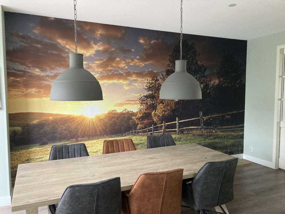 Weide mit Sonnenuntergang