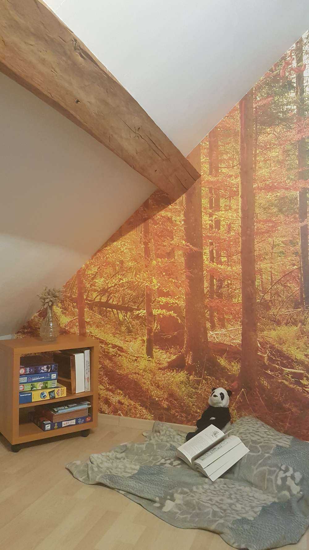 Herbst Wald