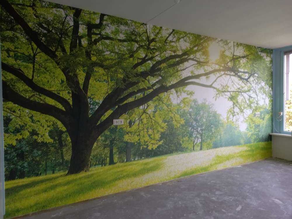 Schöner Baum mit grünem Gras