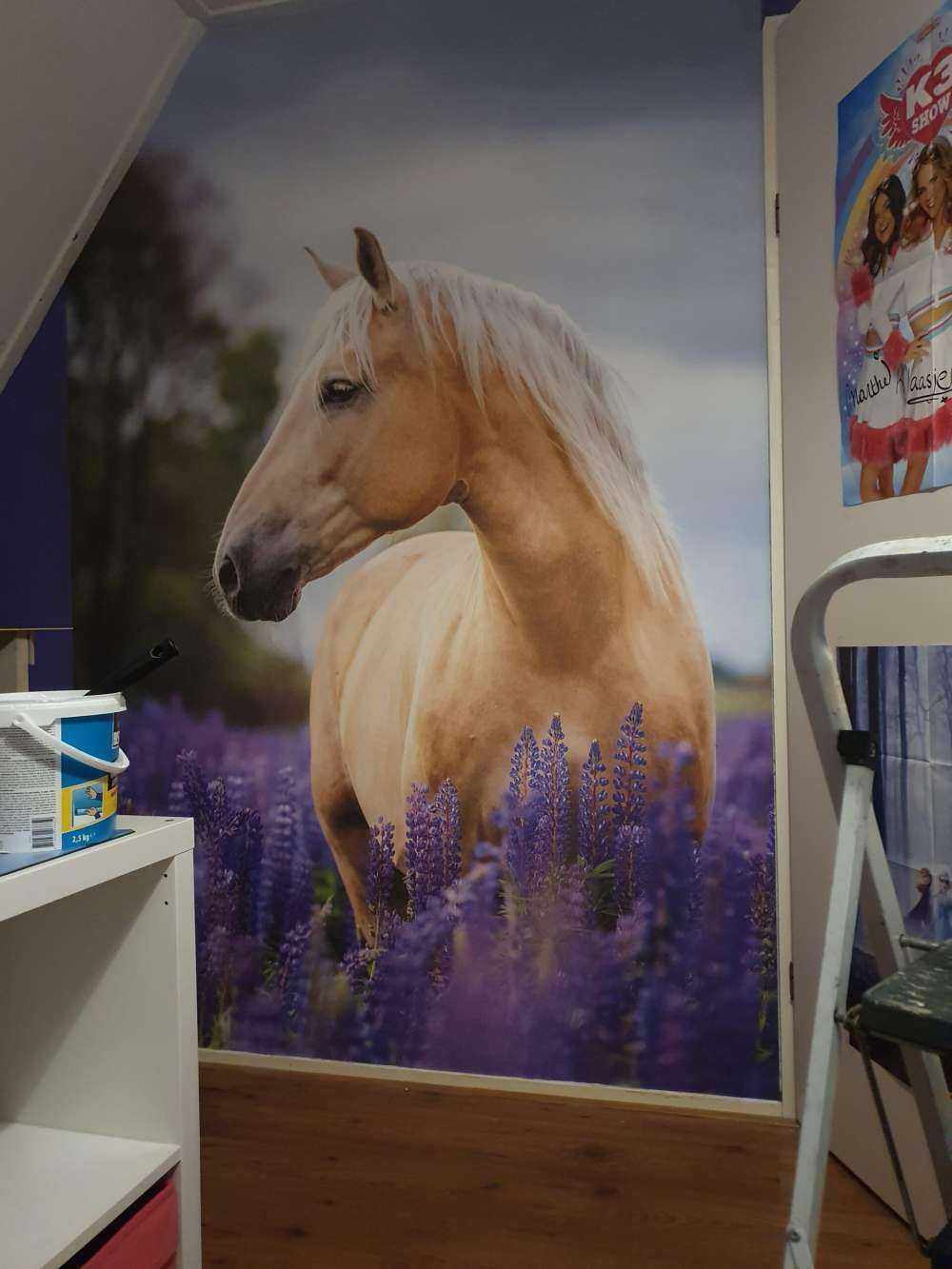 Pferd zwischen den Schmetterlingsblüten