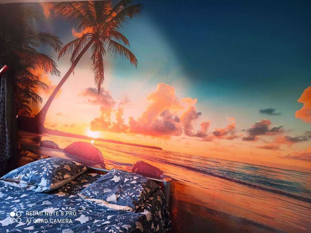 Palmen bei Sonnenuntergang