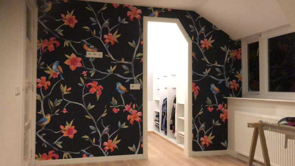 Tropische Vögel