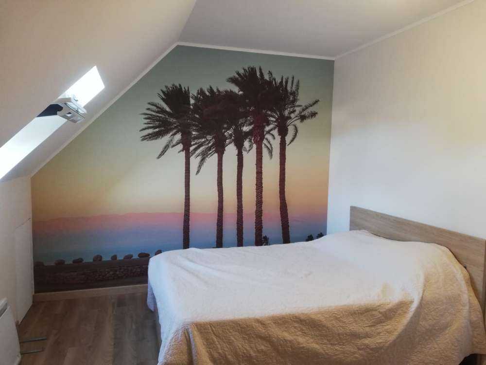 Palmen bei Sonnenuntergang