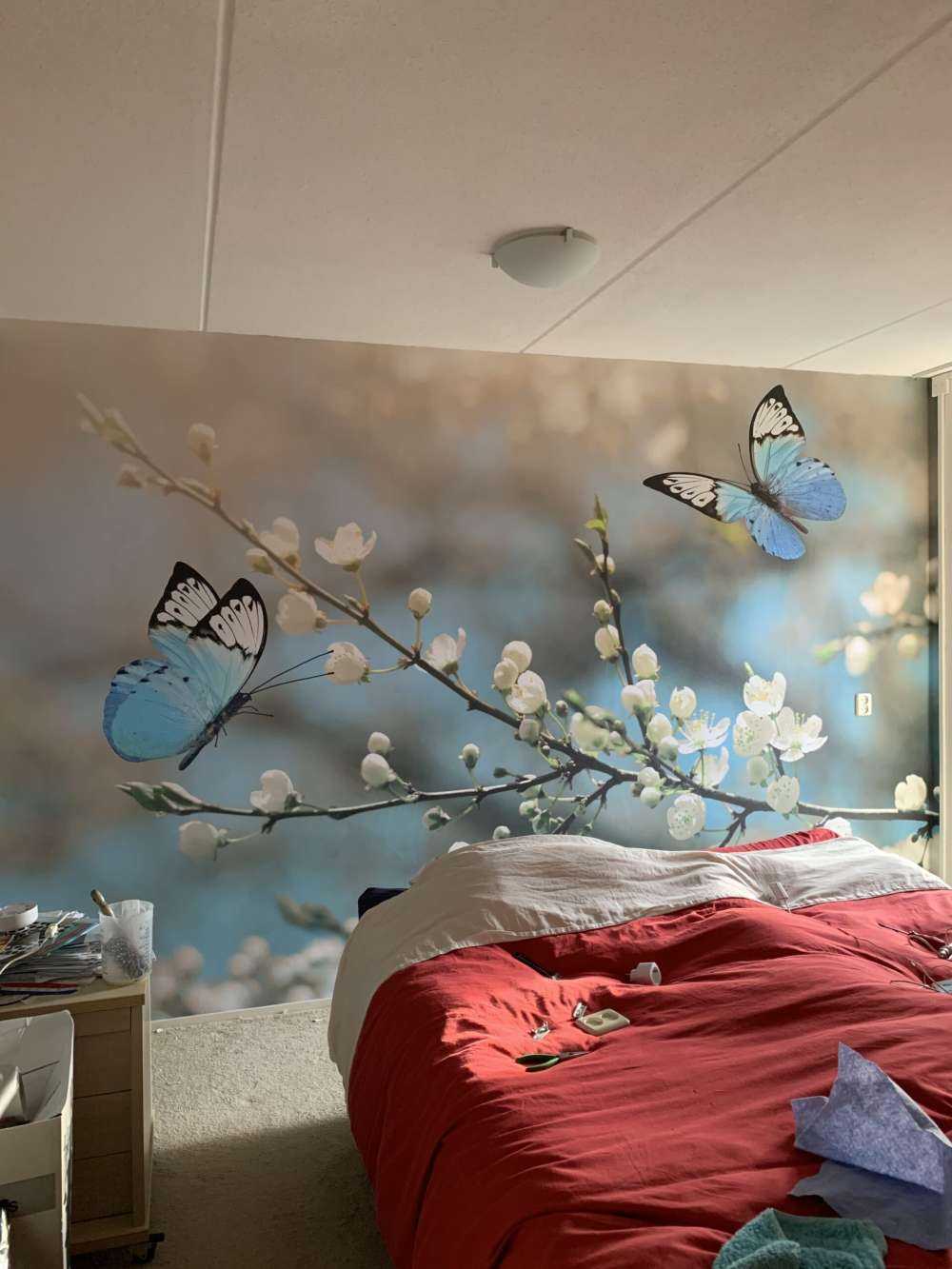 Blaue Schmetterlinge