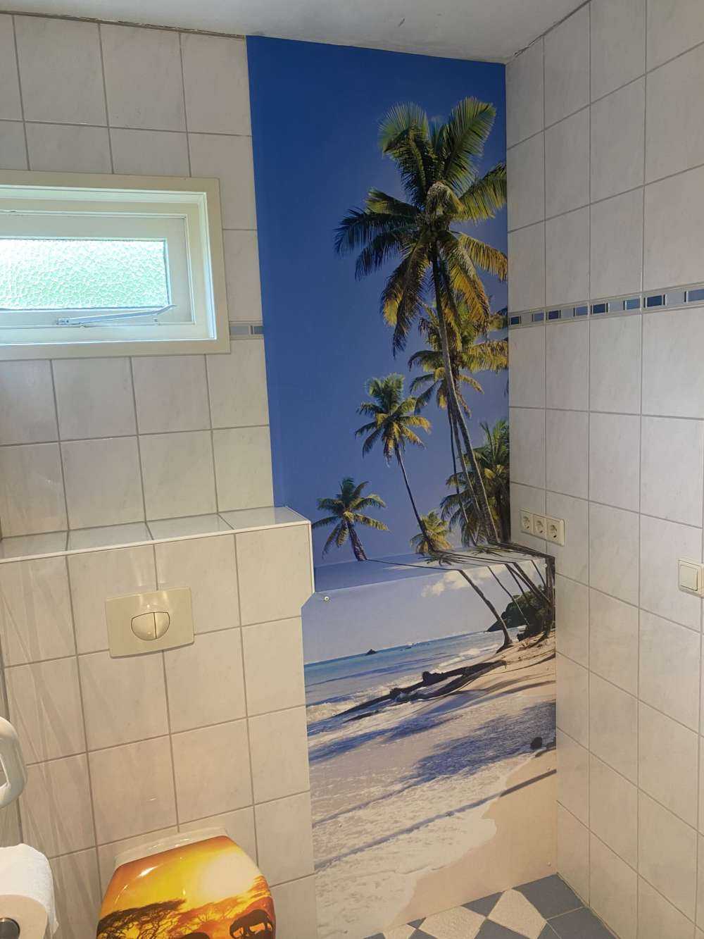 Nordküste von Trinidad