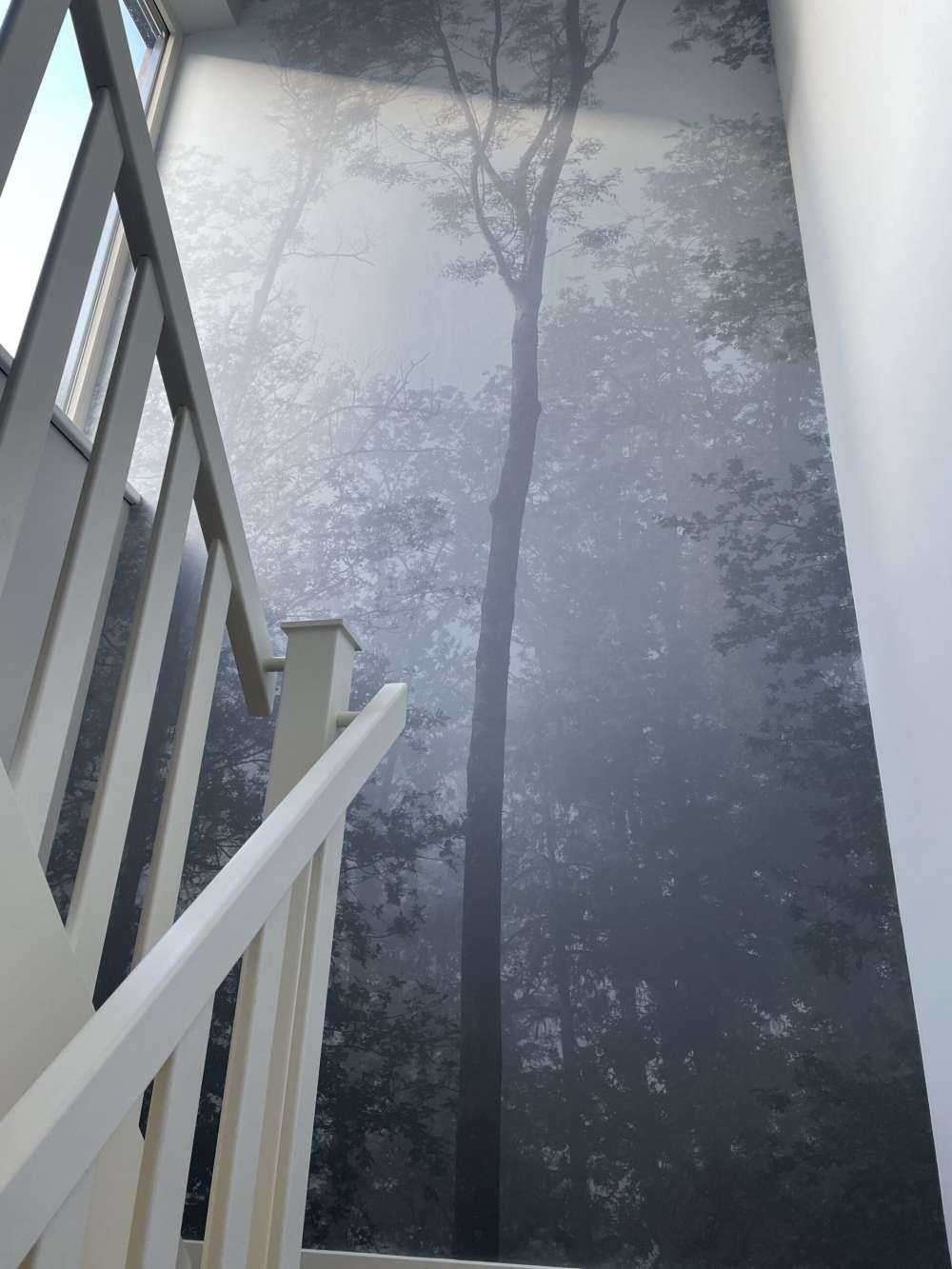 Dichter Nebel in Wald