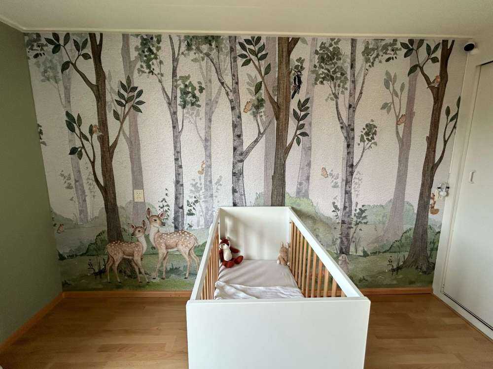 Tiere in der Natur