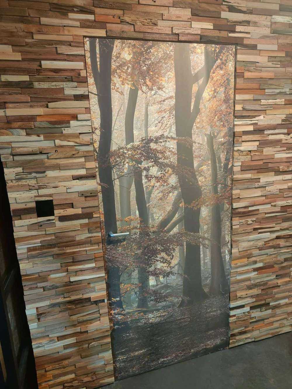 Herbstfarben im Wald