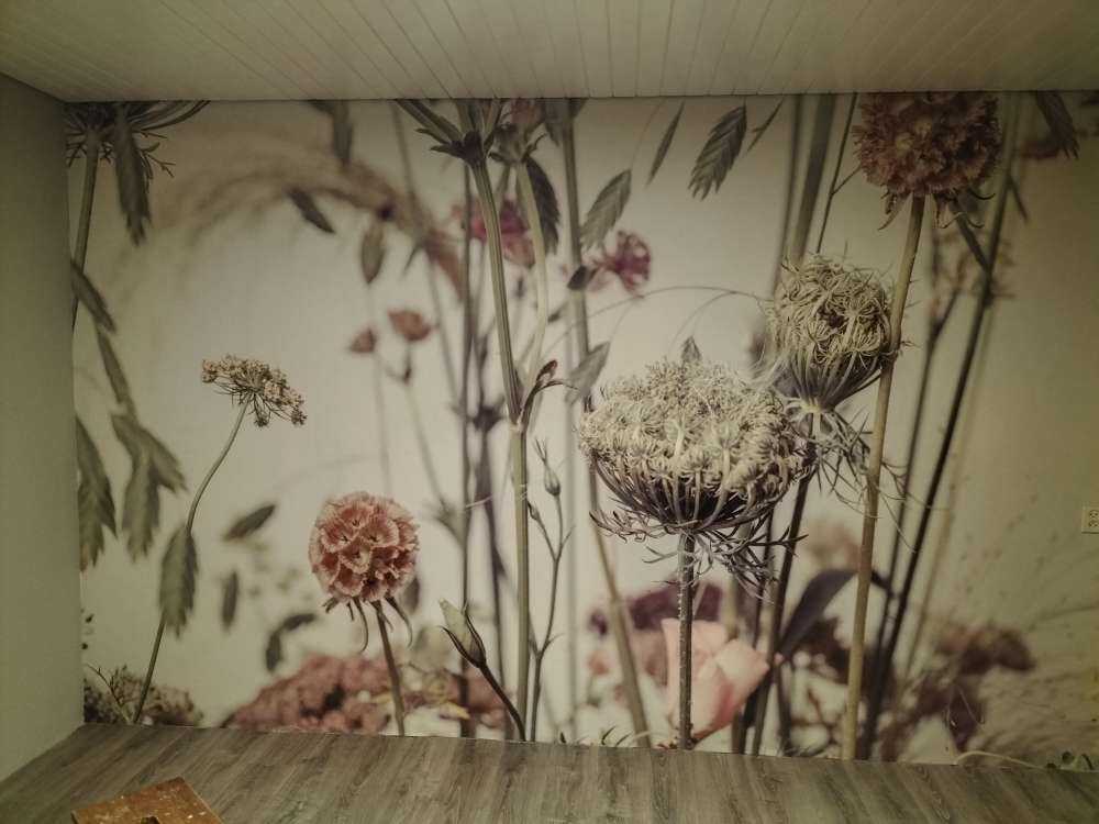 Nahaufnahme Blumen