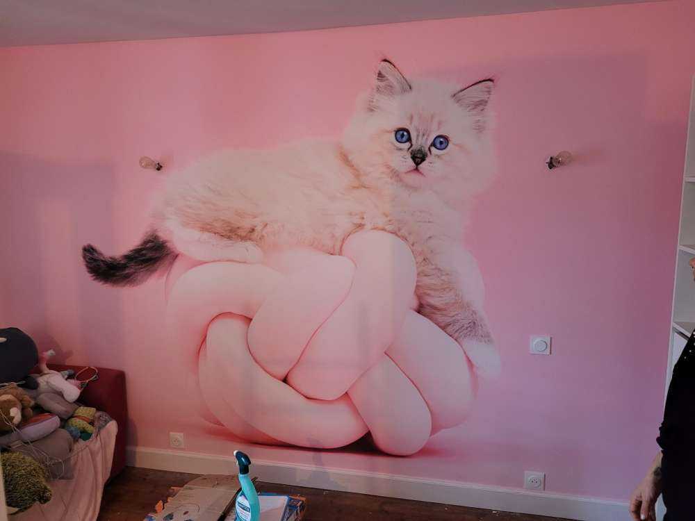 Weiße Katze auf rosa Hintergrund