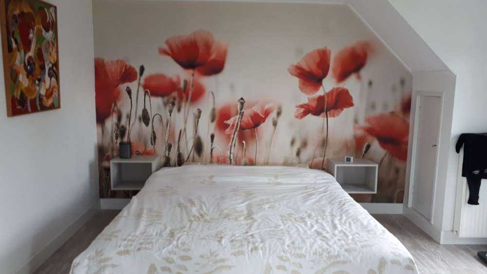 Verträumter Mohn