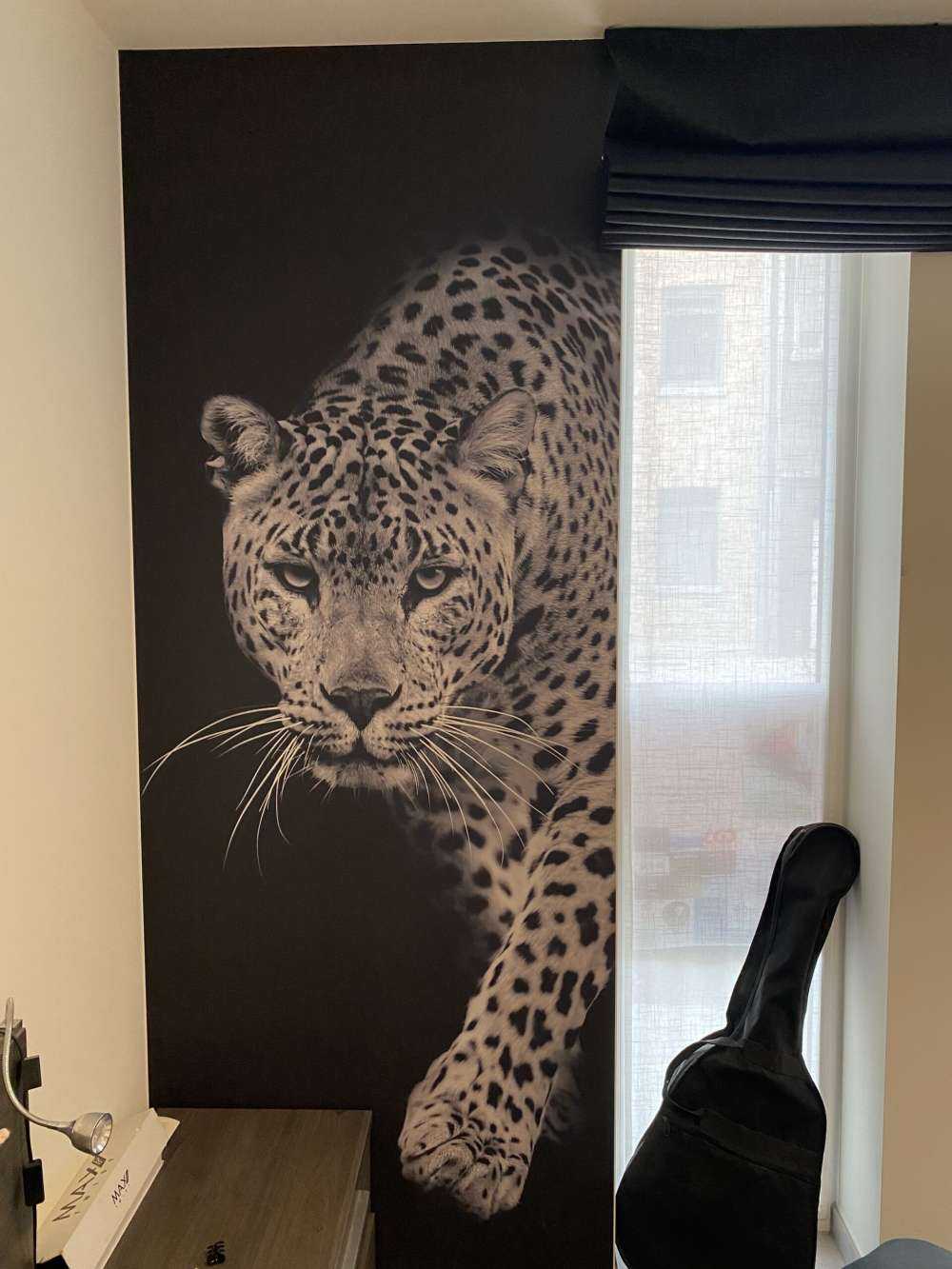 Leopard