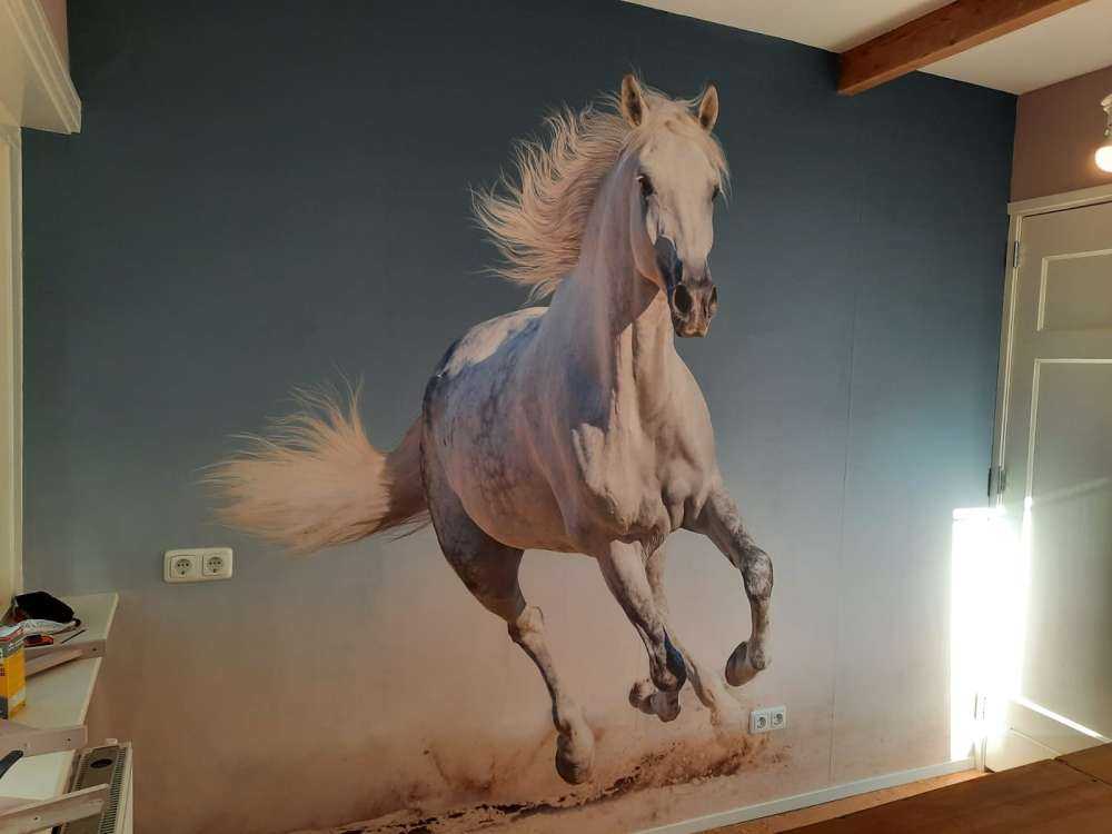 Galoppierendes Pferd