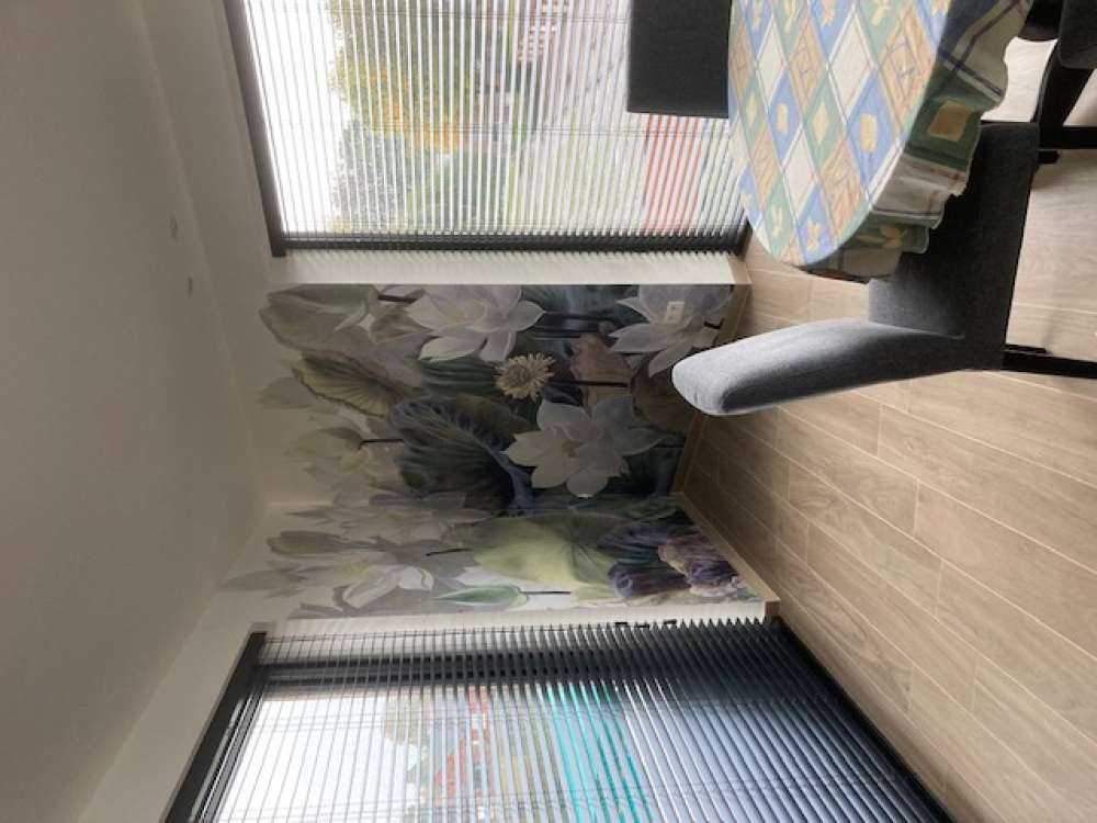 Wasserpflanzen