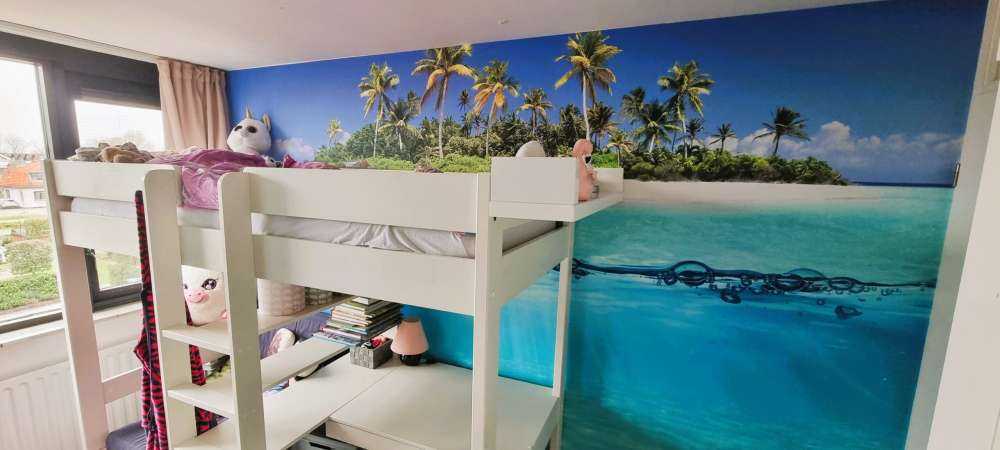 Tropische Insel und Korallenriff