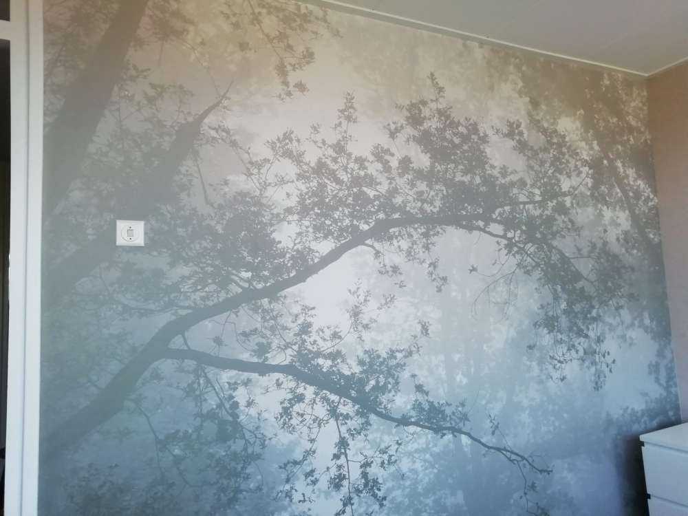 Wunderschöner Wald im Nebel