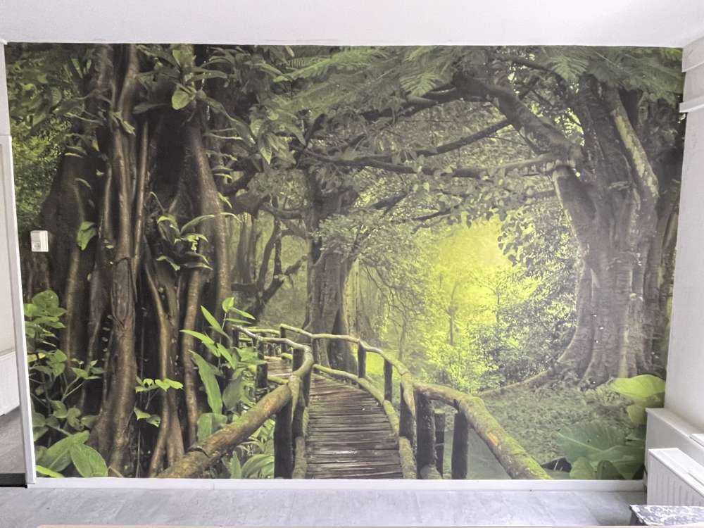Dschungelbrücke