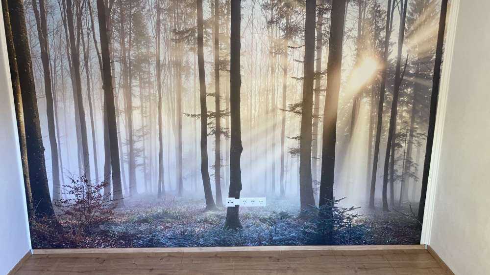 Nebliger Wald