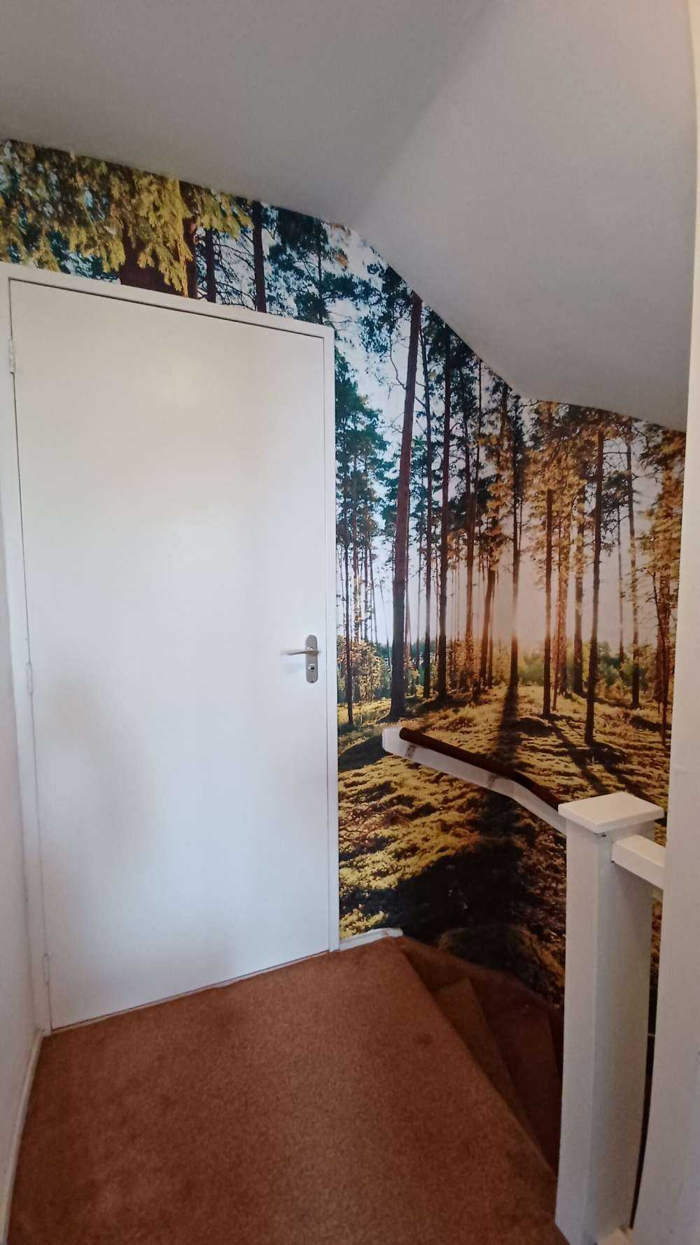 Kiefernwald