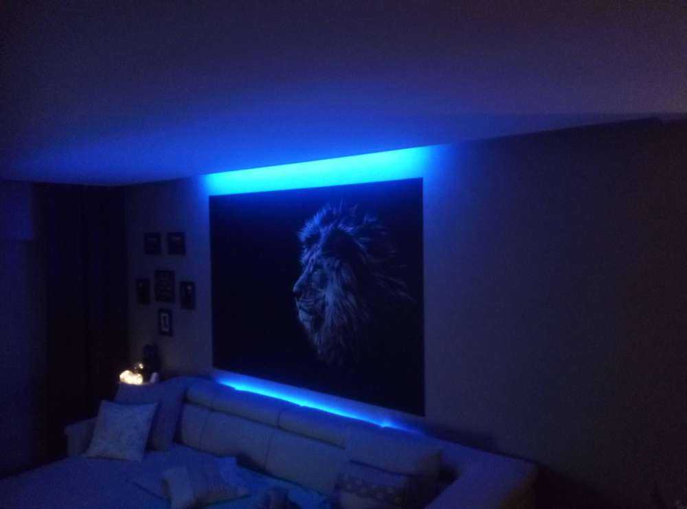 Löwe mit blauen Augen