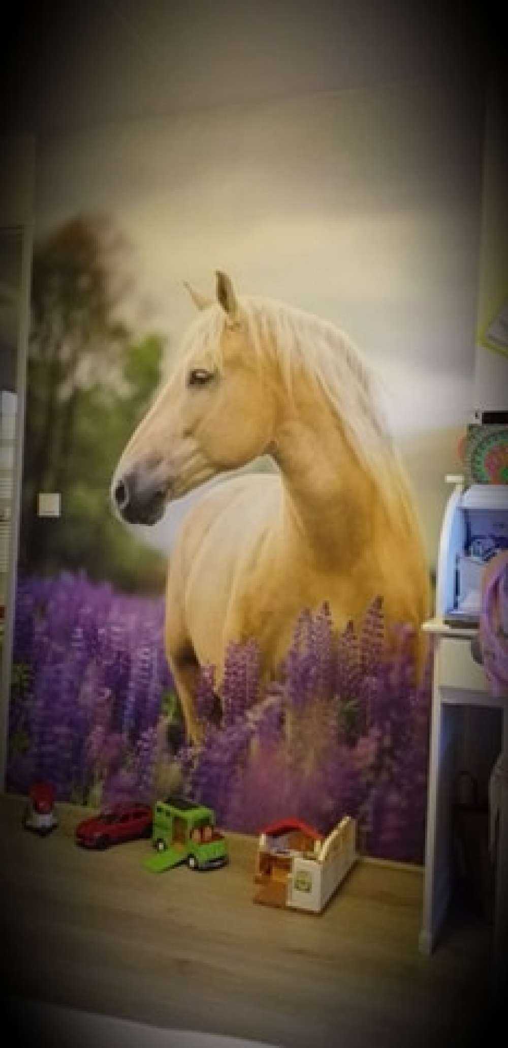 Pferd zwischen den Schmetterlingsblüten