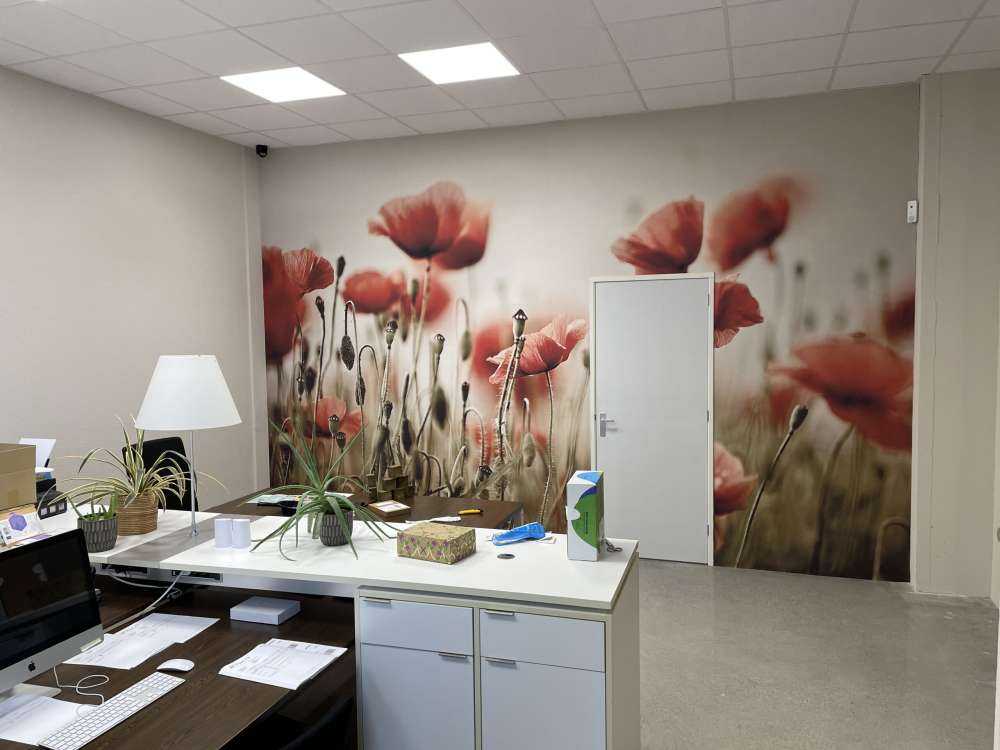 Verträumter Mohn