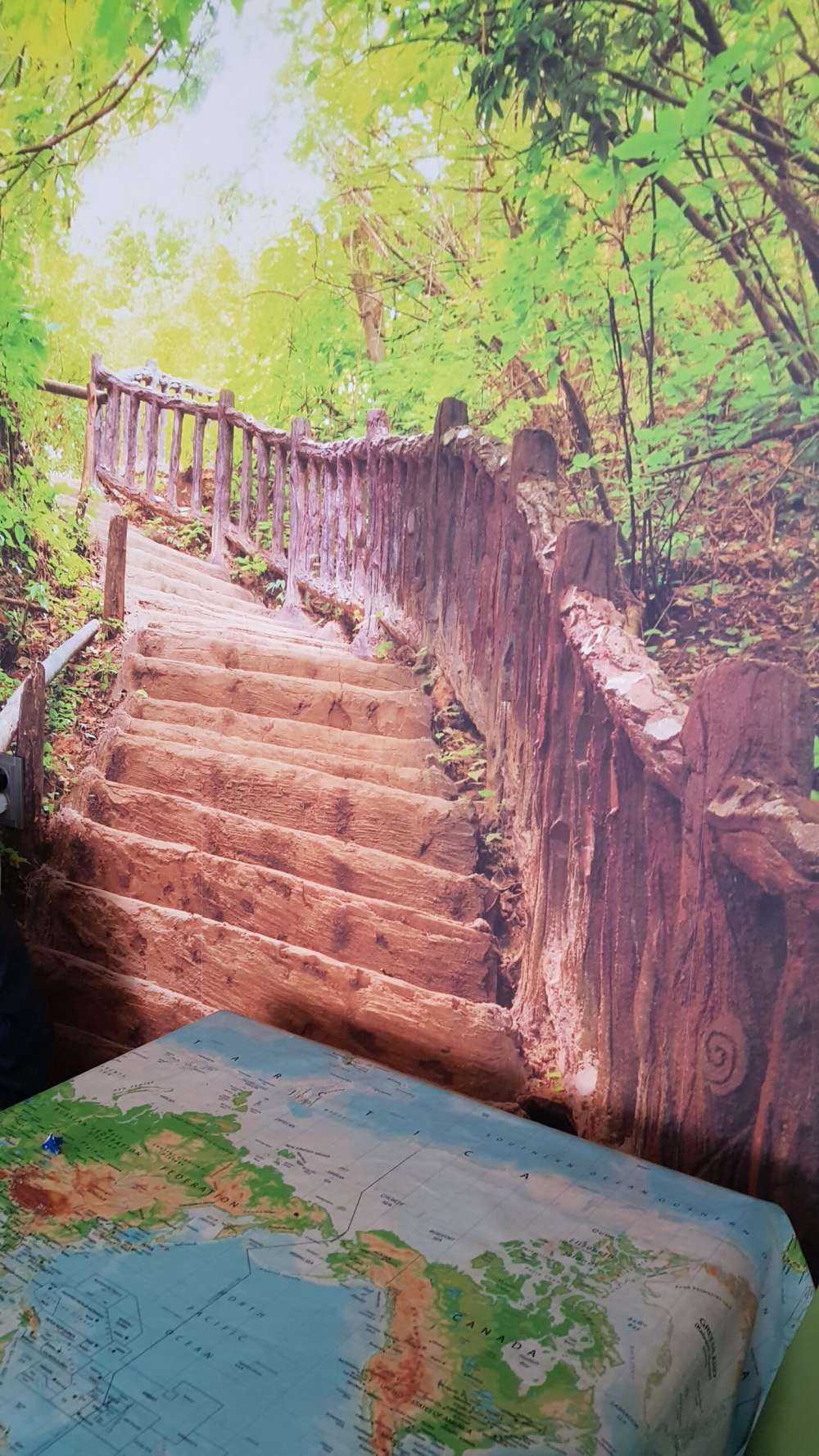 Treppen im Wald